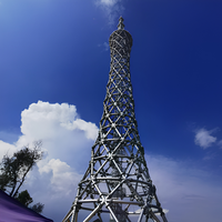 Tour de diffusion de télévision numérique DVB-T2 professionnelle avec structure en treillis d'acier Q345B pour la transmission de signal haute définition