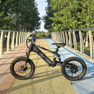 Ligero LBK01 Kids E-Bike 750W 36V Batería de litio Frenos de disco hidráulicos Diseño de aleación - Product Image 2