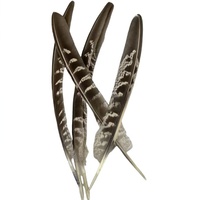 Plumes de faisan de carnaval de 15 à 20 cm, queue argentée naturelle, accessoires de bricolage, masque de scène, matériaux décoratifs