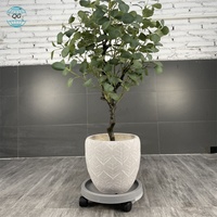 Ensemble de jardinières en béton modernes, motif de feuilles sculptées à la main, pots de fleurs de jardin extérieurs, style minimaliste, blanc, trois tailles