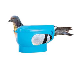 ピジョンホルダーバード与えられた薬フィーダーデバイスバードツールホワイトピジョンフィクサー - Product Image 6