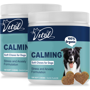 Köpekler İçin Organik Zencefil Bağışıklık Destekleyici Granüller - 240 Adet Eklem Sağlığı ve Vitaminler ve Mineraller Takviyeleri Tüm Irklar İçin Güvenli - Product Image 1