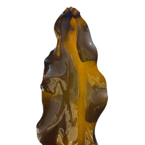 Hoja de algas secas para máquina de baja humedad Premium, ideal para uso culinario e industria de procesamiento de alimentos - Product Image 1