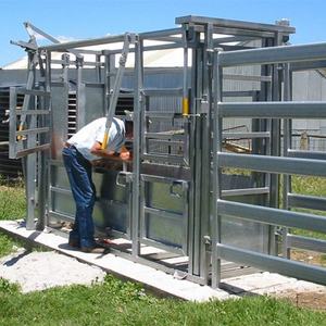 Prensa para Ganado de Alta Resistencia con o sin Báscula - Product Image 2
