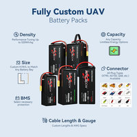 Batterie Li-po à État Solide Racepow 350wh/kg 23000mAh 23Ah 22.2V 44.4V 6S 12S pour Drones à Voilure Fixe/Poids Lourd/Moniteur/Multi-rotor