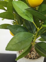 Plantes artificielles en plastique en gros, citronniers bonsaï, arbres fruitiers décoratifs, arbustes