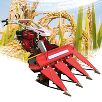 Vente chaude mini récolteuse de canne à sucre demi-alimentation mini récolteuse mini moissonneuse-batteuse d'avoine pour ferme