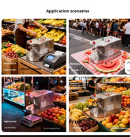 Industriële automatische fruit-schilmachine voor appels en sinaasappels voor fruitverwerkingsbedrijven