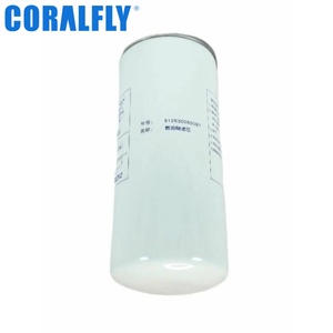 612630080087 1117050A81DM 20430751 Filtro de Combustible Diésel para Motor para Sinotruck Shacman DAF FAW - Product Image 2