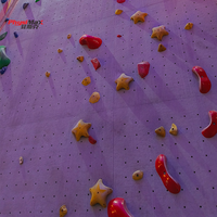 Panneaux d'escalade, murs de bouldering, prises d'escalade pour murs d'escalade intérieurs et extérieurs, centres de fitness, centres éducatifs