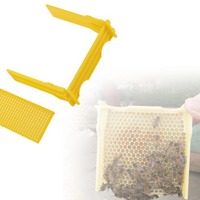 Heißer Verkauf: Neuer Zustand – Kunststoff-Bienenköniginnen-Paarungs-Superbox-Rahmen, Mini-Paarungsnuc für Bienenköniginnen