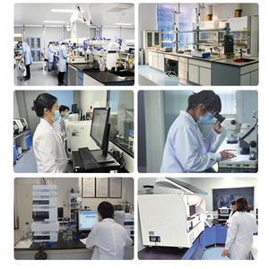 Экстракт гриба льва/порошок гриба герициум эринацеус/порошок гриба льва - Product Image 4