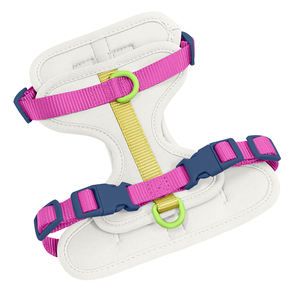 <span class=keywords><strong>Harness</strong></span> Anjing Kucing Desainer <span class=keywords><strong>2026</strong></span>, Produsen Mewah, Kualitas Tinggi, Fashion, Logo Kustom, Bernapas, Tahan Lama - Product Image 4