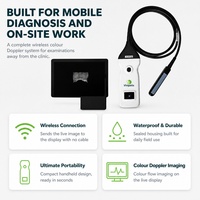 Échographe Doppler Couleur Vétérinaire Portable Sans Fil Neo Sonde Animale en Plastique Classe III pour Clinique et Ferme