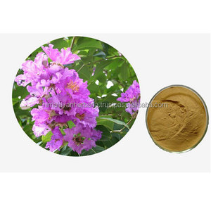 Bio Supply <span class=keywords><strong>Banaba</strong></span> <span class=keywords><strong>Leaf</strong></span> Extract Lagerstroemia Speciosa Extract <span class=keywords><strong>Powder</strong></span> 20:1 - Product Image 3