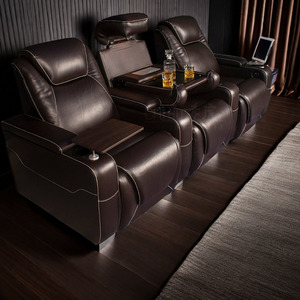 Ensemble de meubles de cinéma maison confortables et élégants, style tendance populaire, pour l'école, l'hôtel, la maison, équipement de charge, visionnage de films - Product Image 1