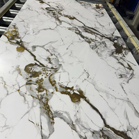 Panneaux muraux intérieurs imperméables et ignifuges en cristal de carbone pour la rénovation des chambres d'hôtel
