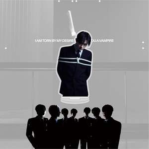Idol KPOP DESIREUNLEASH <span class=keywords><strong>NIKI</strong></span> JAKE JAY Jungwon Sunoo Sunghoon Heeseung Standee en plastique transparent acrylique, taille personnalisée, CMYK - Product Image 6