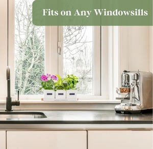 Set of 3 <strong>Kitchen</strong> Windowsill <strong>Herb</strong> Pots Indoor <strong>Herb</strong> Garden <strong>Planter</strong> with Tray for Home Use Eco-Friendly Plant Fiber Customizable - Product Image 3