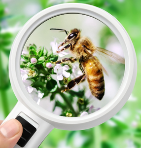 40/50/60/75/90/100MM Cheap Plastic <b>Magnifying</b> Glass Handheld <b>Magnifying</b> Glass - Product Image 4