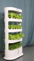 Fournitures agricoles hydroponiques automatiques pour le jardin domestique Système hydroponique vertical complet pour la culture de légumes
