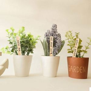 Custom Fashionable Polished <b>Wooden</b> Rectangle Garden <b>Plant</b> <b>Labels</b> & Stakes-Nursery Markers for Gardening & Promotions - Product Image 2