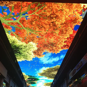 Phòng triển lãm hành lang Trần dẫn màn hình trong nhà Bầu trời Trần dẫn quảng cáo Bảng điều chỉnh sảnh khách sạn Bầu Trời video tường trần hiển thị - Product Image 1