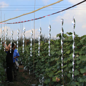 En gros Oiseau Effrayer Vent Twister Rod pour <span class=keywords><strong>Jardin</strong></span> Agricole prévention <span class=keywords><strong>oiseaux</strong></span> tiges en plastique - Product Image 5