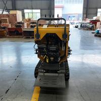CE-Zertifizierter Mini-Raupendumper 500kg Selbstladender Hydraulischer Kipp-Raupendumper für Schlammige Obstgarten-Straßen