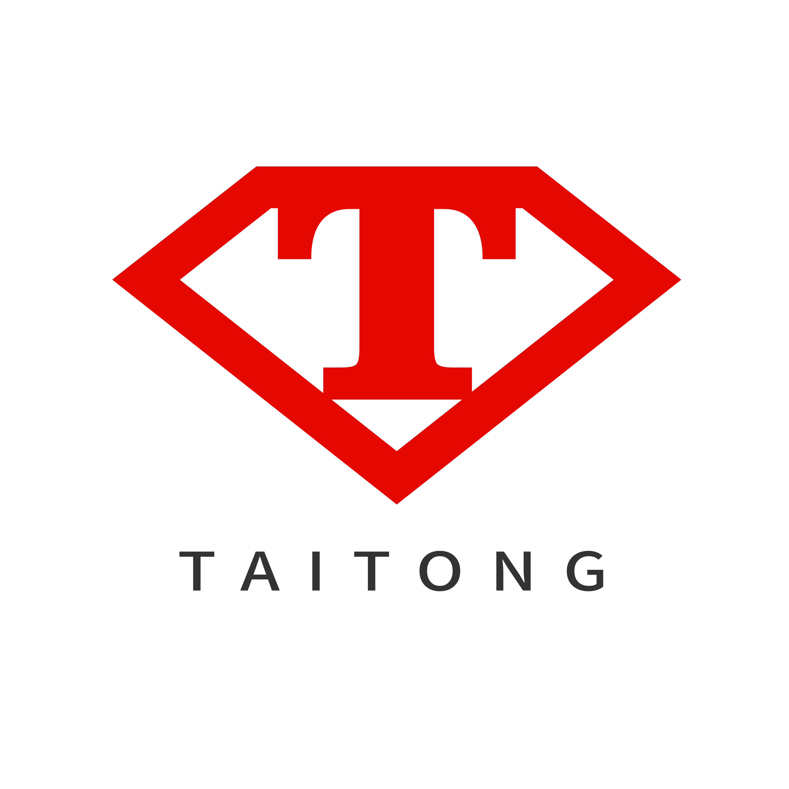 Tai Tong Trading (Shenzhen) Co., Ltd. logo