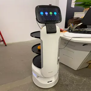 2024 Cheap Obstacle Food Truck Server Fully Intelligent Control Delivery Robot Industry In China