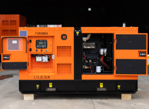 Générateur silencieux de type fermé 38-42KW 50KVA avec moteur Ricardo, refroidissement par eau, radiateur et injecteurs offerts - Product Image 2