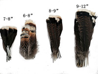Plume de cheveux naturelle plume de dinde pour coiffe chapeau Costume carnaval artisanat bricolage fête mariage maison décor floral