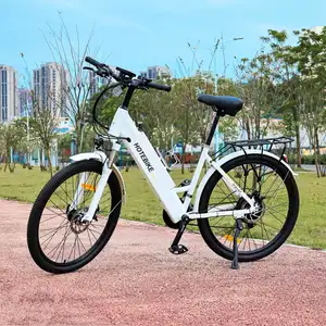 शीर्ष Ebike क्रूजर महिलाओं बिजली के शहर साइकिल हरी शक्तिशाली बिजली कार्गो साइकिल 28 पहिया आकार बिजली के शहर बाइक