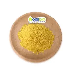 Aogubio供給カボチャ種子タンパク質粉末水溶性カボチャタンパク質粉末スカッシュパンプキンパウダー