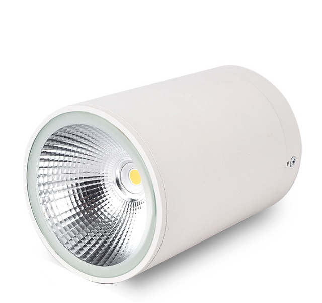 10W 15W 20W 30W 50W Modern Outdoor Round Surface Mounted Downlight Ceiling Mounted Cylinder LED Down Light IP65 Waterproof