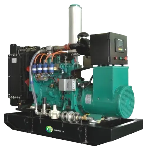 300KW Gas Generator Set Heavy Duty Industrial CNG Propane LPG Gas Generator