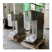Machine voor het mengen van echt fruit-ijs, ijsmengmachine, ijs swirl-boormachine