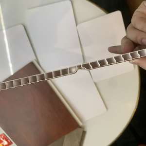 Paneles <span class=keywords><strong>de</strong></span> Techo <span class=keywords><strong>de</strong></span> PVC Fáciles <span class=keywords><strong>de</strong></span> Instalar y Retirar Sin Daños, Impermeables y Resistentes al Fuego - Product Image 2