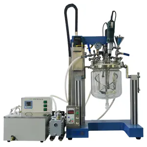 Ailusi 3l Mini Capaciteit Laboratorium Kleinschalige Vacuüm Emulgator Mixer Reactor Voor Monster Cream Lotion Productie