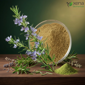 Fabricant de poudre d'extrait de romarin, vente en gros, fournisseur en vrac d'extrait naturel de feuilles de romarin - Product Image 1