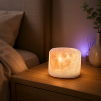 Lampe de table LED à piles en marbre naturel Soda Pat Nigh pour la maison