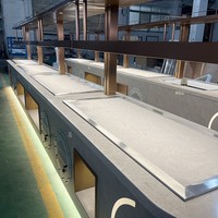 Comptoir de buffet pour hôtel classé 5 étoiles, réfrigéré, avec affichage numérique, station de service en libre-service pour salle à manger, chauffant, usage commercial