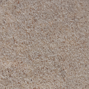 Fournisseur de poudre de Moringa 100% Pure et naturelle, livraison depuis l'inde - Product Image 1