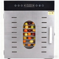 12-laags digitale commerciële industriële vacuüm droogapparatuur van roestvrij staal, voor het drogen van fruit, groenten en voedsel.