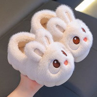 Chaussons en Coton Enfant de Qualité Supérieure, Épais Automne Hiver, Mignons en Fourrure de Lapin, Talons Sacs en Coton, Doublés Peluche