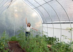 Cerceau agricole 20-100m <span class=keywords><strong>Tunnel</strong></span> commercial économique Film plastique pour serre de <span class=keywords><strong>tomates</strong></span> - Product Image 5