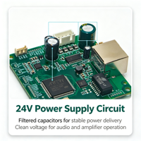 Carte PCB d'amplificateur audio IP Premium SIP2402V prenant en charge l'intercom SIP Peer-to-Peer pour projets d'interphonie commerciale