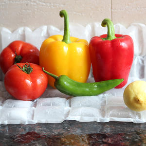 मांस वितरण के लिए जमे हुए बर्फ के पैक भोजन शिपिंग समुद्री भोजन के लिए समुद्री भोजन शिपिंग समुद्री भोजन शीट्स कूलर - Product Image 5