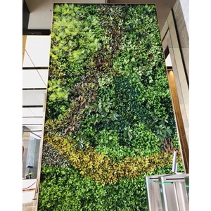 Paneles de plantas de hierba de boj <span class=keywords><strong>artificial</strong></span> Plantas artificiales Jardín vertical de pared verde 3D <span class=keywords><strong>artificial</strong></span> - Product Image 4
